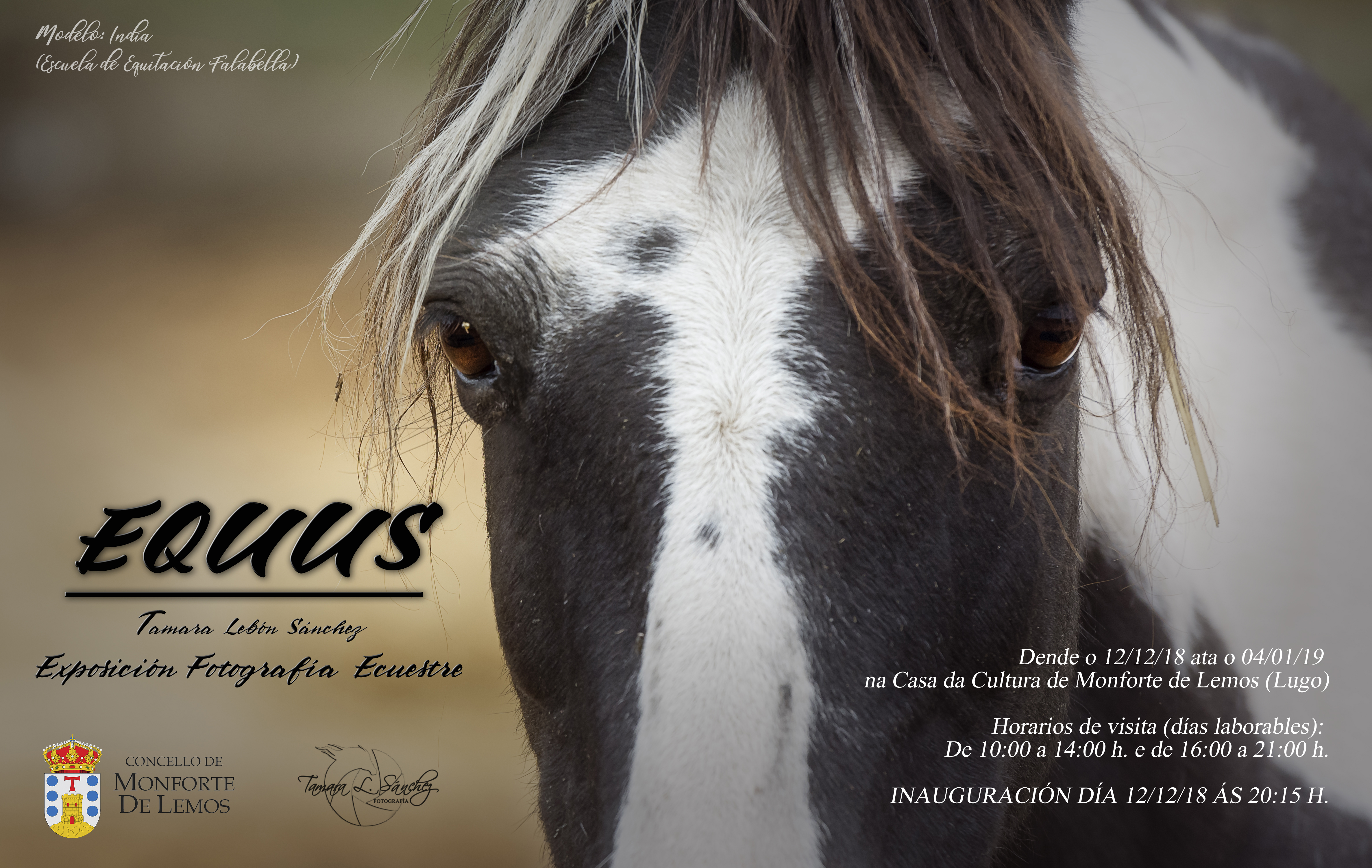 Cartel exposición Equus